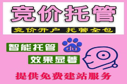 行业领先企业如何通过SEM运营提升ROI